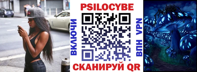 Купить закладки  Кольчугино  Псилоцибиновые грибы прущие грибы 