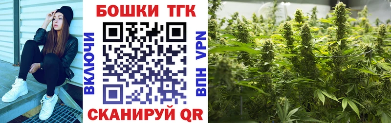 Конопля планчик  Купить закладки  Кольчугино 